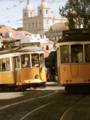 One Night Marriage P