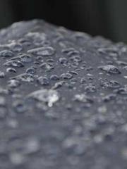 The Stand-in Wife Wa