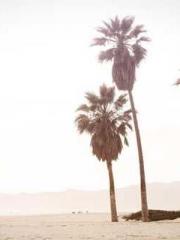 lt;Diga: From Jetton