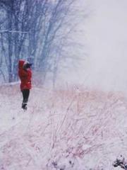 A-SOULapos;s Hoshima