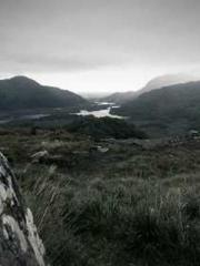 Yellow Spring Expres