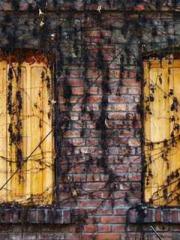 Su He Huo Chen Xi Fu