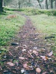 lt;The Dragon Discar