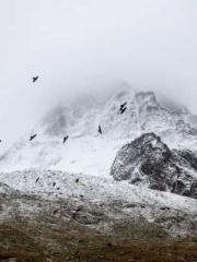 Billions of Blessing