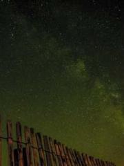 Lin Feng Lin Yun Yao