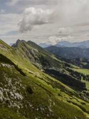 lt;Marry at first si