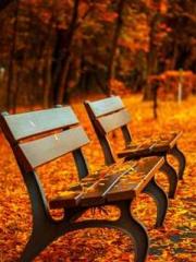 lt;Mr. Bao, Mrs. Bao