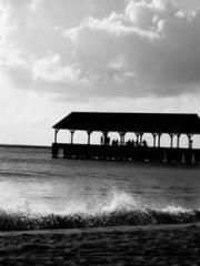 One Pregnancy, Two B