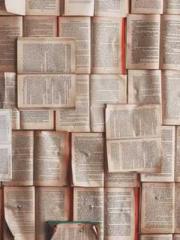 Bones-Eating Marriag