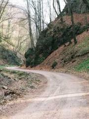 One Night of Indulge