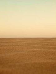 lt;Nineth Uncle, you