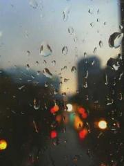 The Wife of My Heart