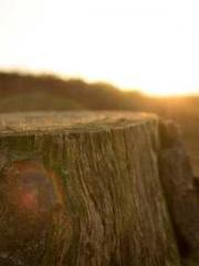 lt;The Dragon Discar