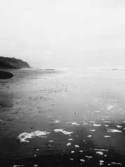 Ling Hao Qin Yuxin R