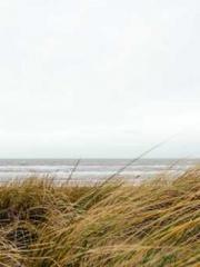 One Night Marriage P