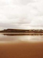 The generalapos;s yo