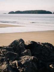 I have seven fairy g