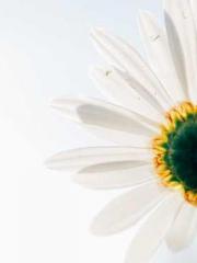 lt;Heavenly Fire Dyn