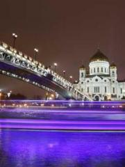 The Daring Wife of a