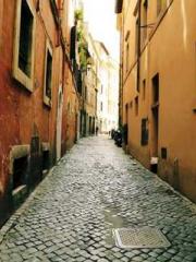 The generalapos;s yo