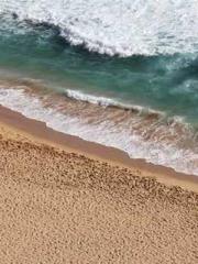 Yellow Spring Expres