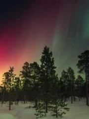 Cultivating My Empre