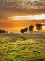 My projections are a