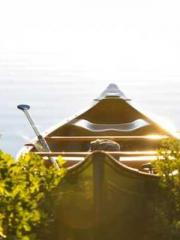 The Imperial Concubi