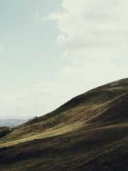 Double Blessing: CEO