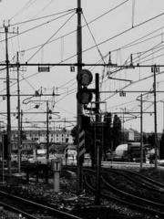 Rong Zhao, male, Nin