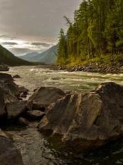 lt;Marry at first si