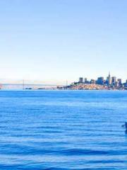 A Heavenly Gift: The